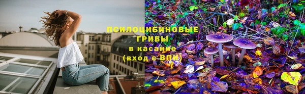 соль ск Новокубанск