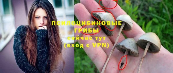 МДМА Новодвинск