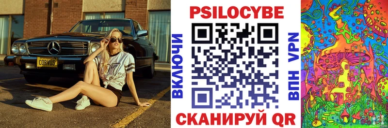 Купить закладки  Ростов  Псилоцибиновые грибы Psilocybine cubensis 